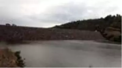 İki sulama barajına 9 bin pullu sazan yavrusu bırakıldı