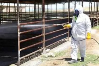 Karaman Belediyesinin haşere ve zararlı bitkilerle mücadelesi devam ediyor