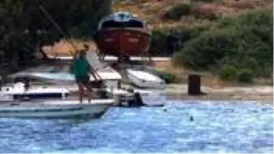 Denizde vahşet anları kamerada! Köpek balığını mızrakla defalarca vurarak katlettiler Denizde vahşet anları kamerada! Köpek balığını mızrakla defalarca vurarak katlettiler