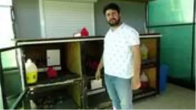 Antalyalı vatandaşın klimalı kümeste beslediği güvercinlerin değeri 200 bin lira Antalyalı vatandaşın klimalı kümeste beslediği güvercinlerin değeri 200 bin lira