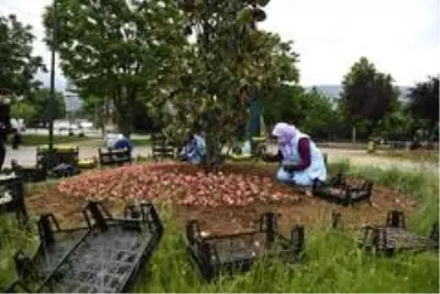 200 bin çiçek toprakla buluşuyor 200 bin çiçek toprakla buluşuyor