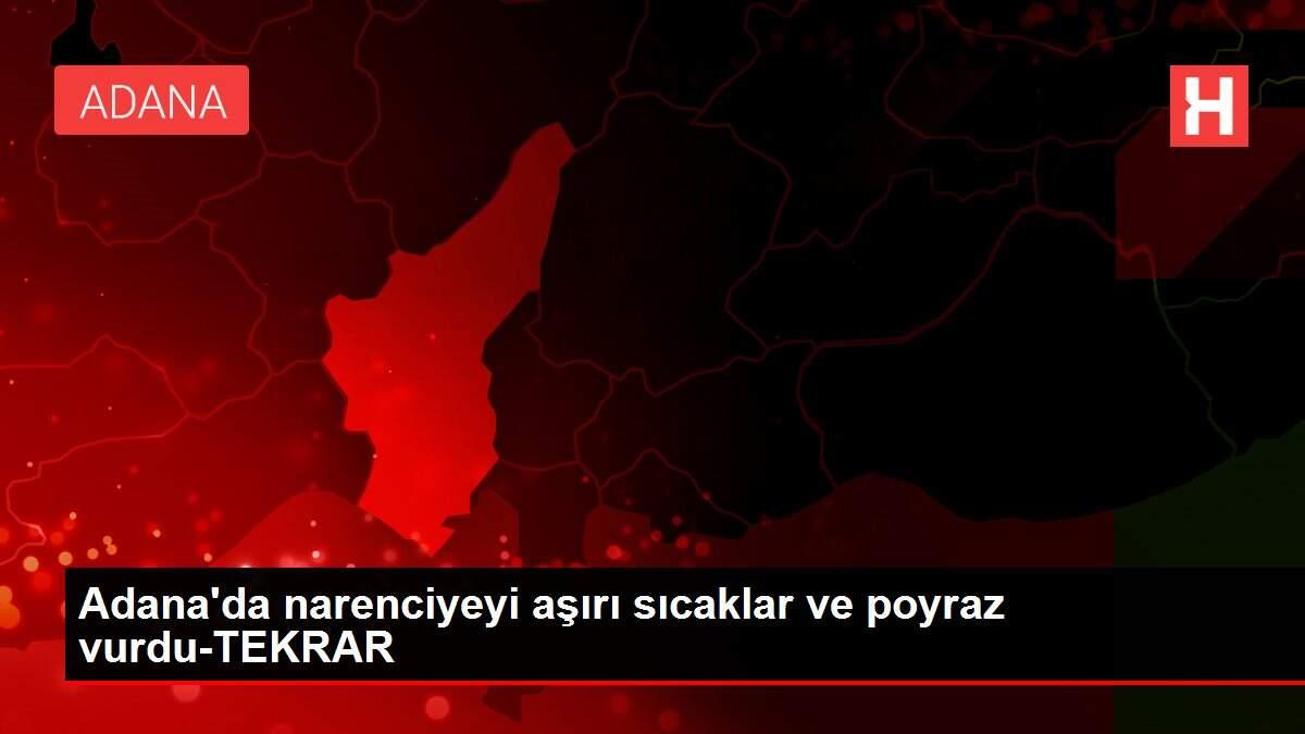 Adana'da narenciyeyi aşırı sıcaklar ve poyraz vurdu-TEKRAR