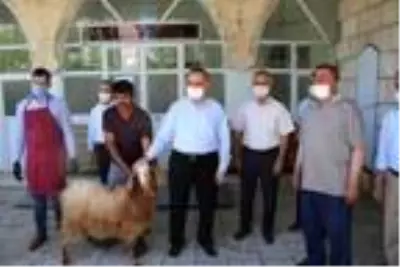 Adıyaman'da müftülük, şükür kurbanı kestirdi
