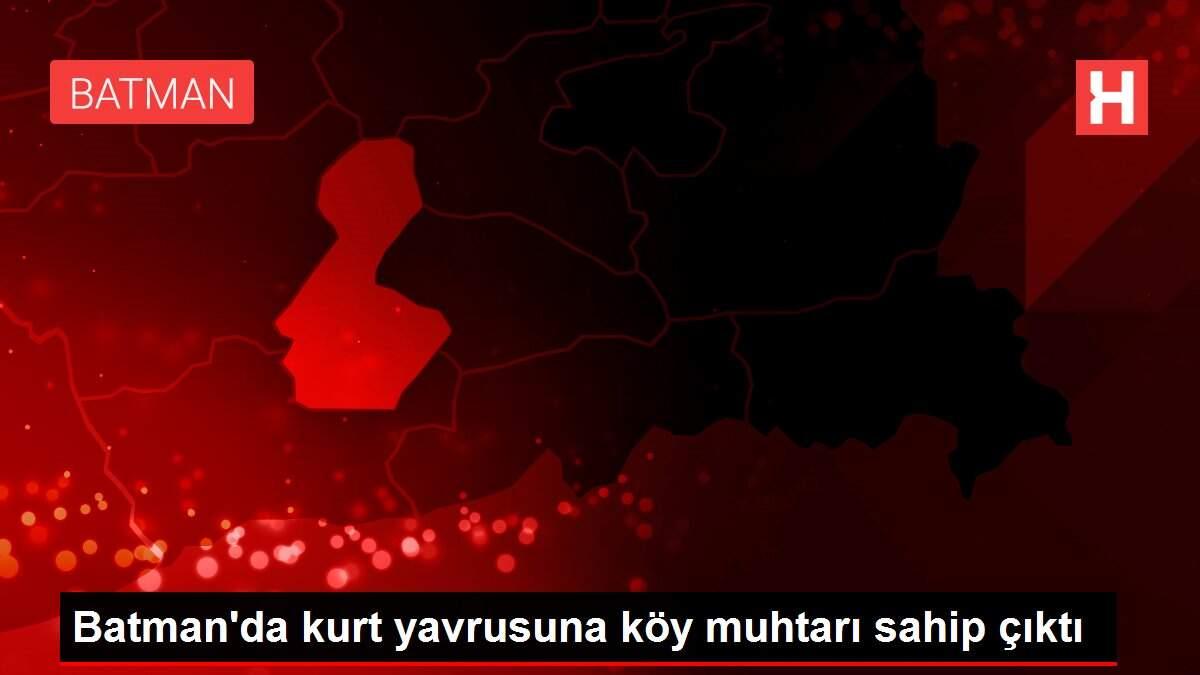 Batman'da kurt yavrusuna köy muhtarı sahip çıktı Batman'da kurt yavrusuna köy muhtarı sahip çıktı