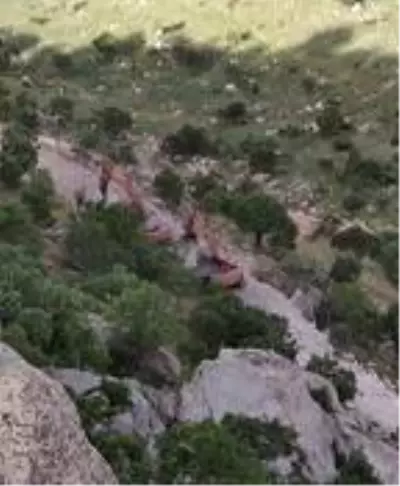 Cudi'de PKK'lı teröristler kalekol inşaatına saldırdı Cudi'de PKK'lı teröristler kalekol inşaatına saldırdı