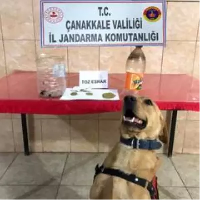 Ezine'de uyuşturucu operasyonu: 2 gözaltı Ezine'de uyuşturucu operasyonu: 2 gözaltı