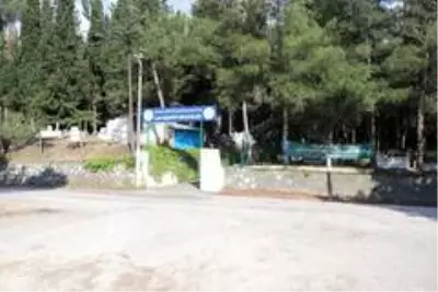 Geceleri mezarları tek tek çimentoyla kapatıyor