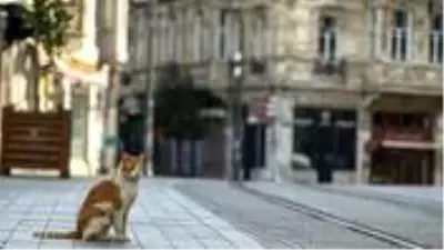 Hafta sonu uygulanacak sokağa çıkma yasağında marketler açık olacak mı? Bakanlık tüm ayrıntıları paylaştı Hafta sonu uygulanacak sokağa çıkma yasağında marketler açık olacak mı? Bakanlık tüm ayrıntıları paylaştı