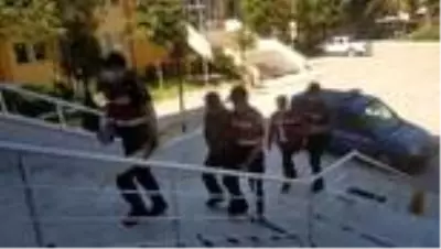 Jandarmaya silah doğrultup 'sıkıysa gelin alın' diyen 2 kişi gözaltına alındı