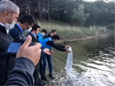 Pazarlar göletlerine 10 bin adet sazan balığı yavrusu bırakıldı Pazarlar göletlerine 10 bin adet sazan balığı yavrusu bırakıldı