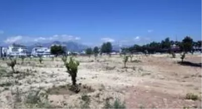Şafak'ta konforlu yaşam dönemi Şafak'ta konforlu yaşam dönemi