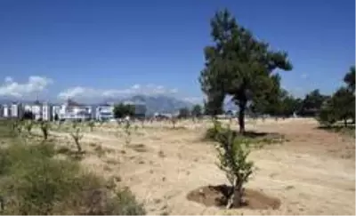 Şafak'ta konforlu yaşam dönemi Şafak'ta konforlu yaşam dönemi