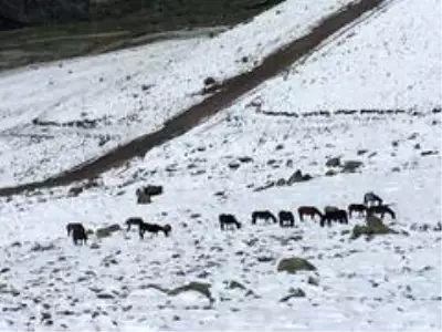 Şuhut'ta kar yağışı
