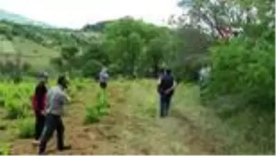 Traktörden düşün çocuk öldü Traktörden düşün çocuk öldü