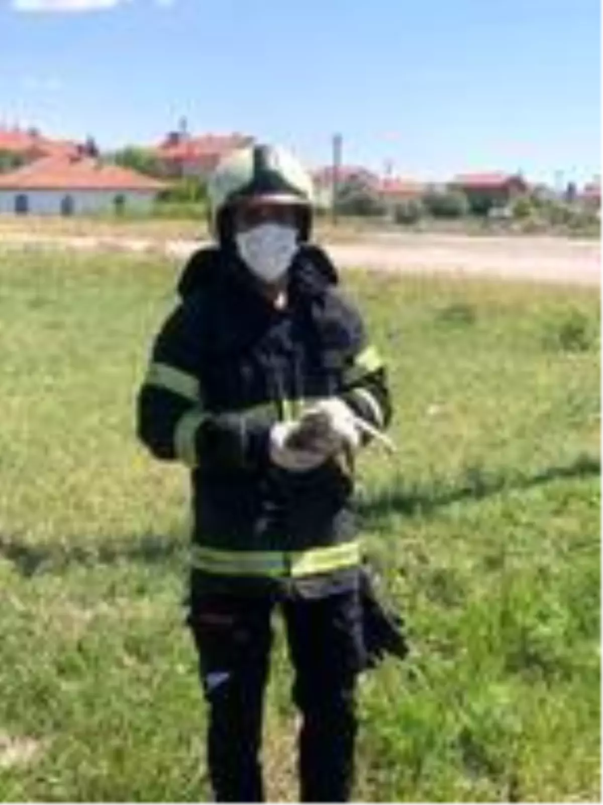 Yuvasından düşen yavru leylek tedaviye alındı