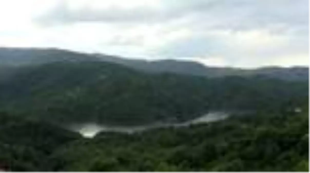 Batı Karadeniz'in 'yeşil örtüsü' doğaseverleri yeniden ağırlayacağı günü bekliyor - ZONGULDAK/