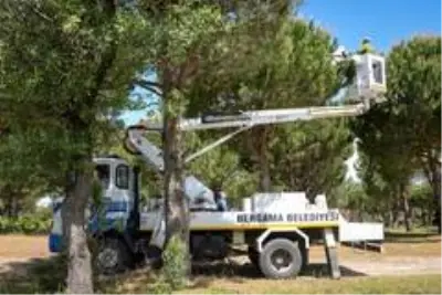 Çam fıstığındaki verim düşüklüğüne 10 proje ile çözüm aranıyor
