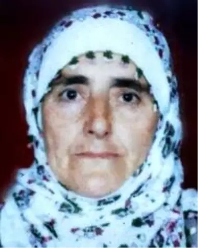 Son dakika haber! Kazada yaralanan kadın hayatını kaybetti
