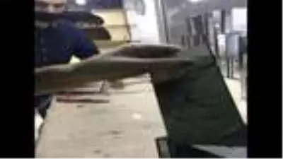 Şampiyon zeytinyağında ilk ihracat Tayvan'a Şampiyon zeytinyağında ilk ihracat Tayvan'a