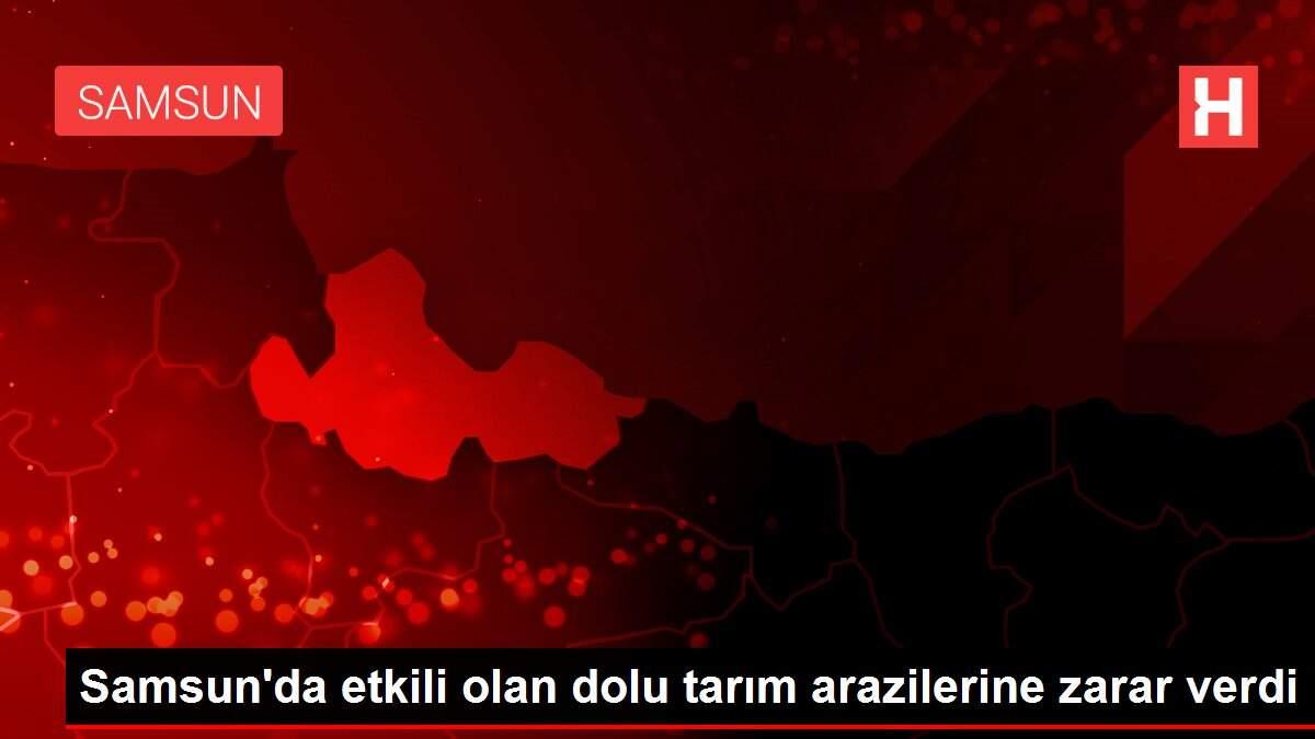 Samsun'da etkili olan dolu tarım arazilerine zarar verdi
