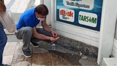 Yuvadan düşen kuşu canlandırmaya çalışan esnaf, uzun süre uğraştı Yuvadan düşen kuşu canlandırmaya çalışan esnaf, uzun süre uğraştı