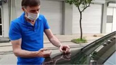 Yuvadan düşen kuşu canlandırmaya çalışan esnaf, uzun süre uğraştı Yuvadan düşen kuşu canlandırmaya çalışan esnaf, uzun süre uğraştı