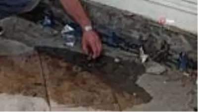Yuvadan düşen kuşu kurtarmaya çalışan esnafın çabası yetmedi
