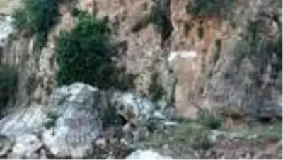 6 bin yıllık at üstündeki insan figürlü rölyef tahrip edildi 6 bin yıllık at üstündeki insan figürlü rölyef tahrip edildi