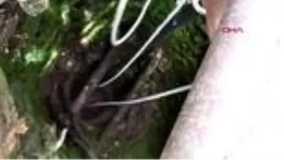 BURDUR Su kuyusuna düşen köpekle boruya sıkışan kuşu itfaiye kurtardı BURDUR Su kuyusuna düşen köpekle boruya sıkışan kuşu itfaiye kurtardı