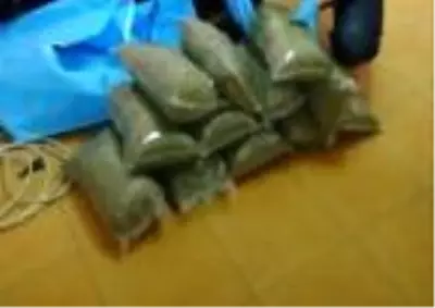 Bursa'da uyuşturucu operasyonu; 12 kilo bonzai ele geçti Bursa'da uyuşturucu operasyonu; 12 kilo bonzai ele geçti