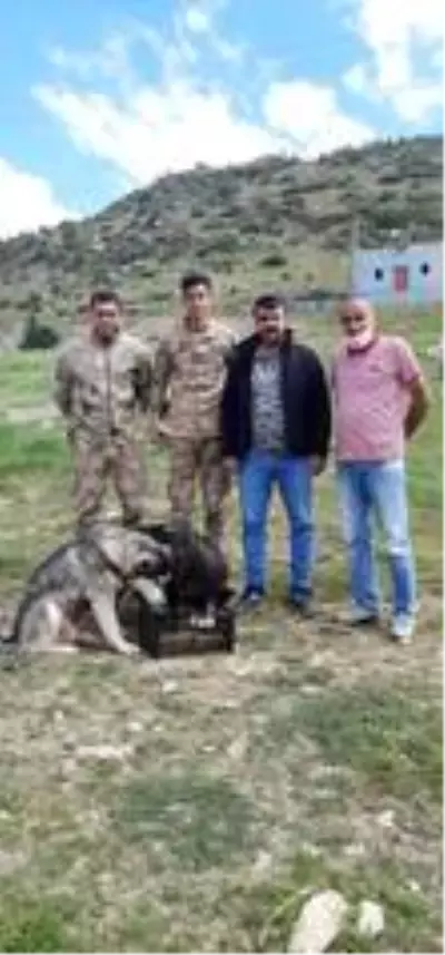 Çukurca'da sokak hayvanlarına mama verildi Çukurca'da sokak hayvanlarına mama verildi