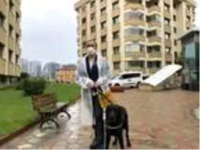 Görme engelli bireylerin can yoldaşı; Rehber Köpekler Görme engelli bireylerin can yoldaşı; Rehber Köpekler