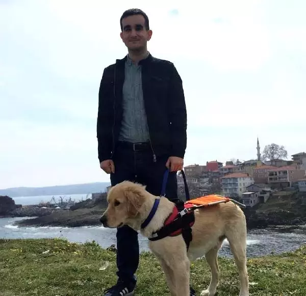 müstakil evde köpek beslemek suç mu