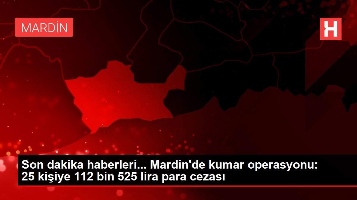 Son dakika haberleri... Mardin'de kumar operasyonu: 25 kişiye 112 bin 525 lira para cezası