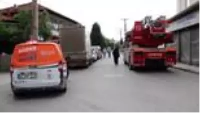 SAKARYA Yangında çatıda mahsur kalan kediyi kurtardılar