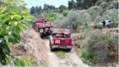 Turgutlu'da çıkan yangında, 1 dekarlık ormanlık alan zarar gördü Turgutlu'da çıkan yangında, 1 dekarlık ormanlık alan zarar gördü