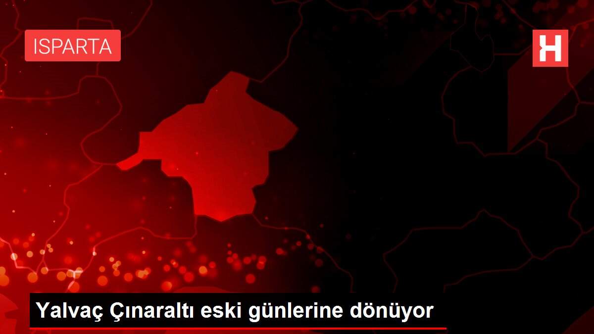 Yalvaç Çınaraltı eski günlerine dönüyor