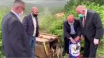 Askıda mama kampanyası, Kara Kız ın hayatını değiştirdi
