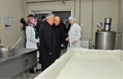Atatürk Üniversitesinden gıda ve hayvancılığa bilimsel yaklaşım Atatürk Üniversitesinden gıda ve hayvancılığa bilimsel yaklaşım