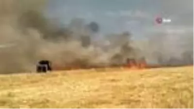 Ateşe verip kaçtılar...600 dönüm buğday ekili tarla küle döndü