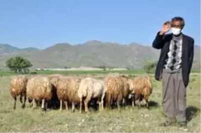 Bakan Pakdemirli: Bakan Pakdemirli: