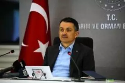 Bakan Pakdemirli: