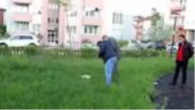 Son dakika güncel: Bolu'da patileri ve kuyruğu kesik ölü kedi bulundu Son dakika güncel: Bolu'da patileri ve kuyruğu kesik ölü kedi bulundu