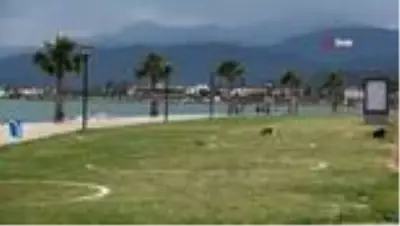 Fethiye'de sahil bandında çemberli sosyal mesafe dönemi Fethiye'de sahil bandında çemberli sosyal mesafe dönemi
