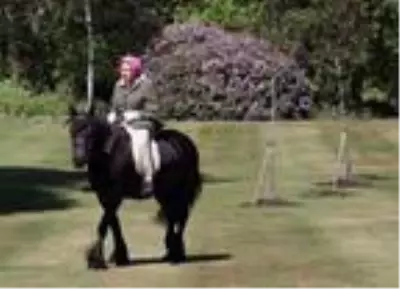 İngiltere'de karantinadan çıkan Kraliçe Elizabeth 72 gün sonra ilk kez görüntülendi İngiltere'de karantinadan çıkan Kraliçe Elizabeth 72 gün sonra ilk kez görüntülendi