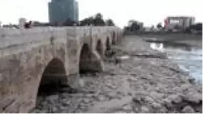 Köprüden düşen kadını görmek için sosyal mesafeyi unuttular