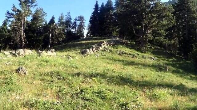 Mantar toplamaya giden adam, 2 bin 800 yıllık tarihi duvar buldu Mantar toplamaya giden adam, 2 bin 800 yıllık tarihi duvar buldu