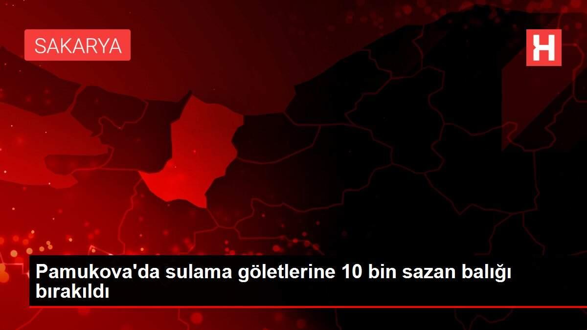 Pamukova'da sulama göletlerine 10 bin sazan balığı bırakıldı Pamukova'da sulama göletlerine 10 bin sazan balığı bırakıldı