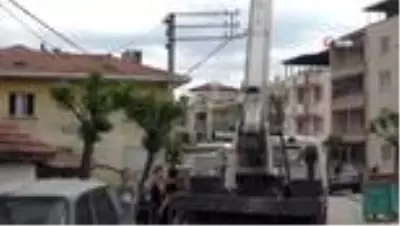 Ağaçta kalan Drone'u vefa ekibi kurtardı Ağaçta kalan Drone'u vefa ekibi kurtardı