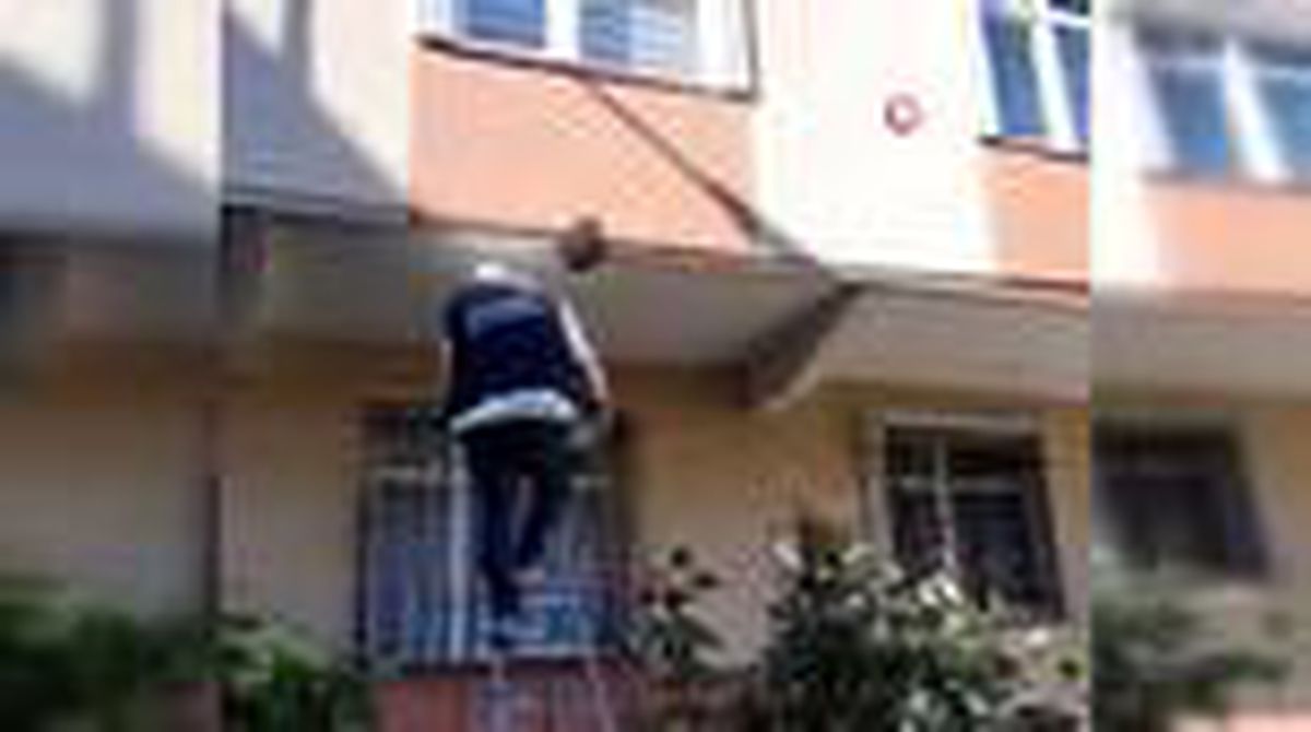 Arılar apartman duvarına yuva yaptı